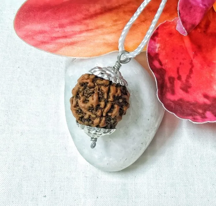 4 Mukhi Rudraksha