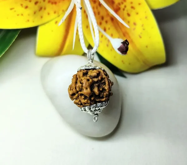 4 Mukhi Rudraksha