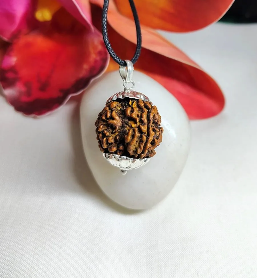 4 Mukhi Rudraksha