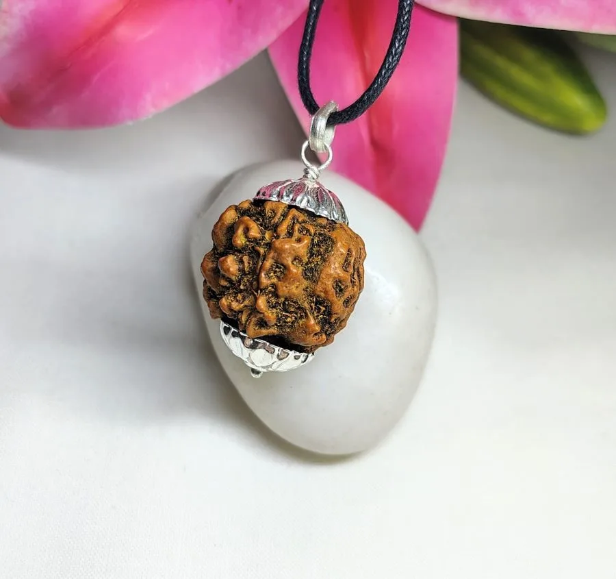 4 Mukhi Rudraksha