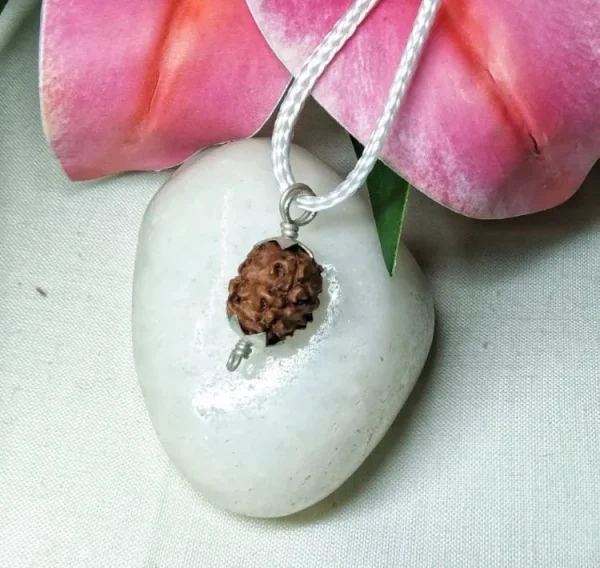 4 Mukhi Rudraksha