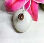 4 Mukhi Rudraksha