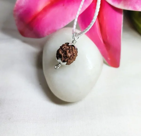4 Mukhi Rudraksha