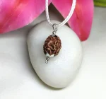 4 Mukhi Rudraksha