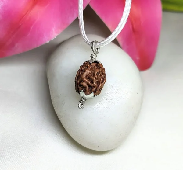 4 Mukhi Rudraksha