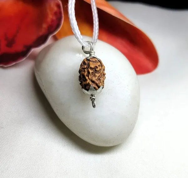 4 Mukhi Rudraksha