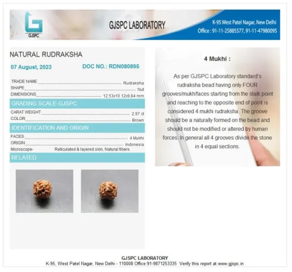 4 Mukhi Certificate