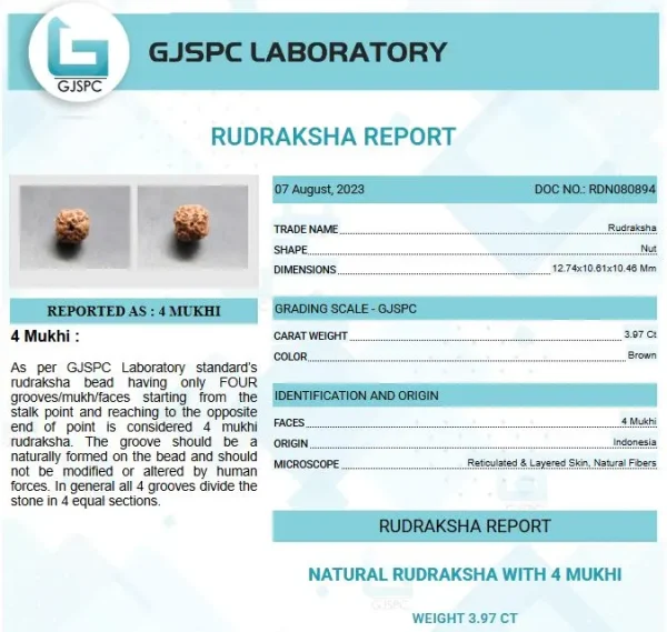 4 Mukhi Certificate