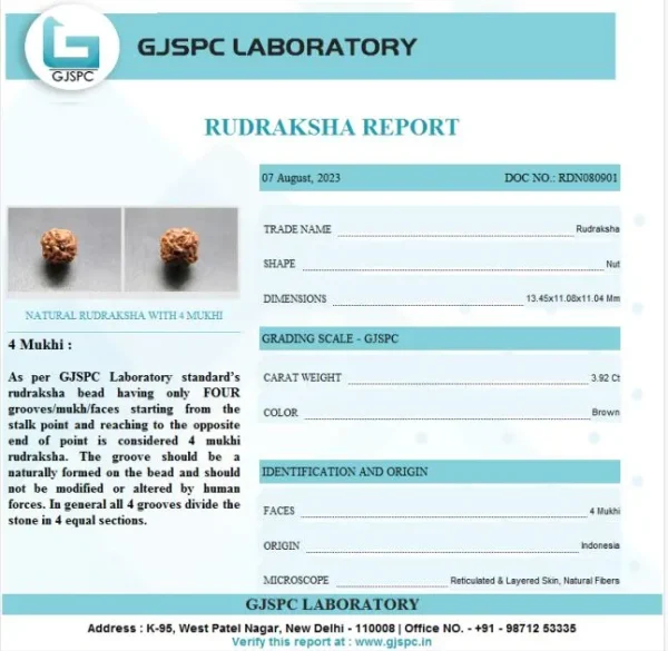 4 Mukhi Certificate