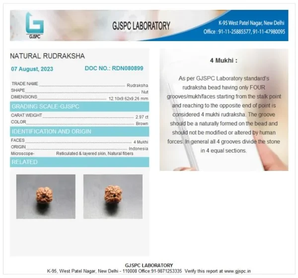 4 Mukhi Certificate