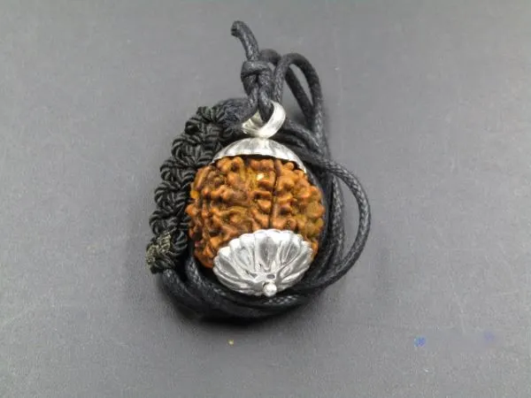 4 Mukhi Rudraksha