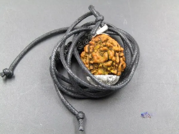 4 Mukhi Rudraksha