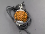 4 Mukhi Rudraksha