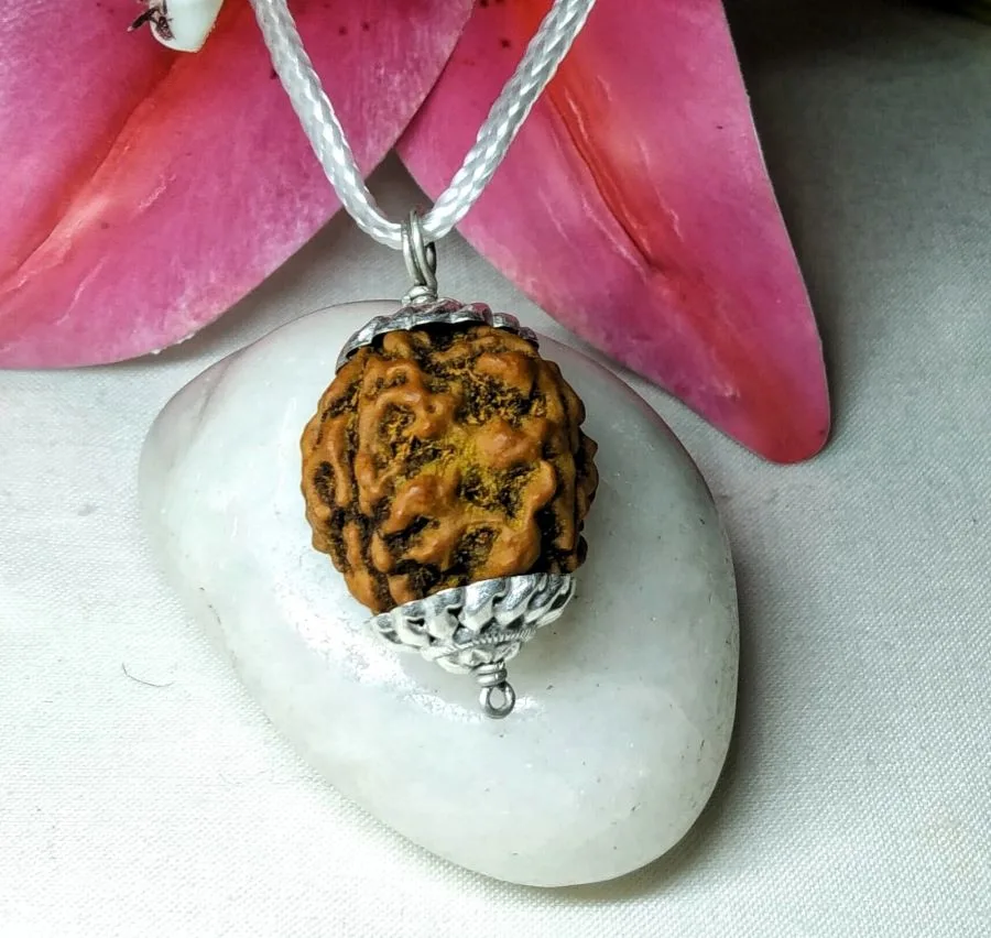 4 Mukhi Rudraksha