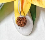 4 Mukhi Rudraksha