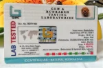 4 Mukhi Certificate