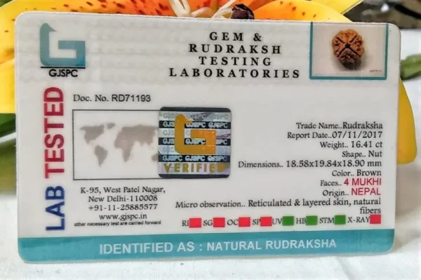 4 Mukhi Certificate