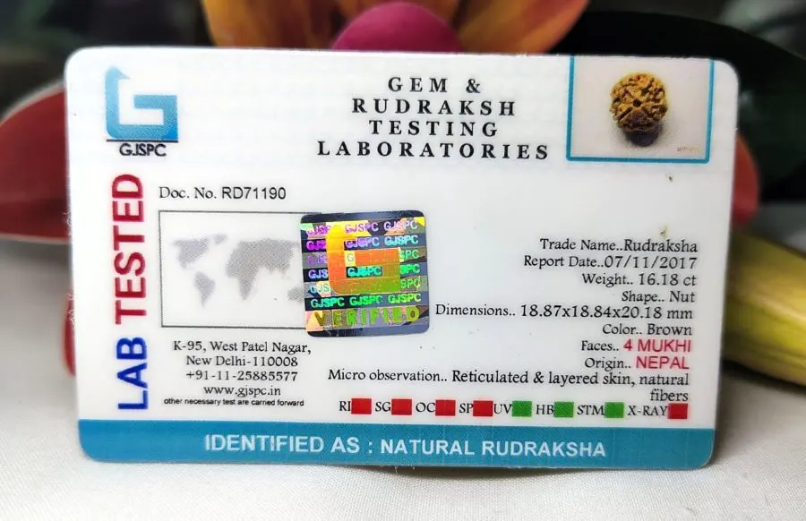 4 Mukhi Certificate