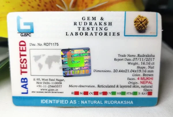 4 Mukhi Certificate