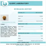 4 Mukhi Certificate