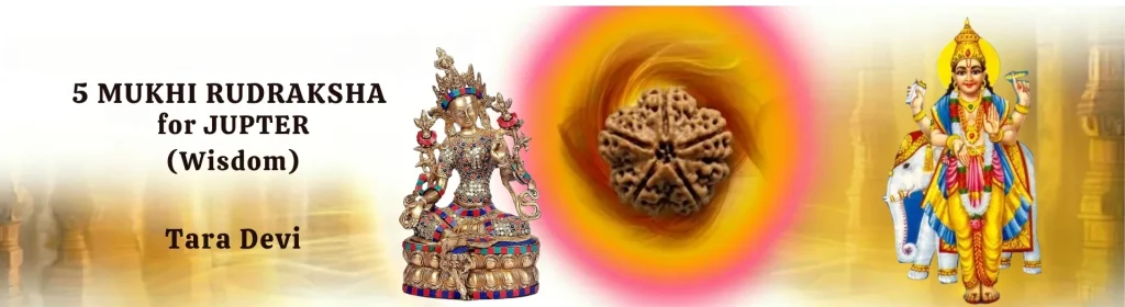 5 MUKHI RUDRAKSHA
