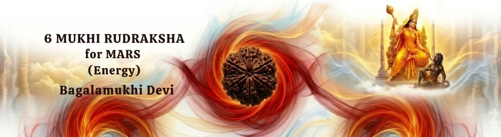 6 MUKHI RUDRAKSHA banner