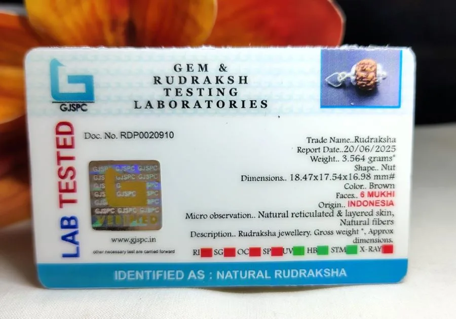 6 Mukhi Certificate