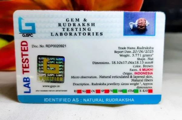 6 Mukhi Certificate
