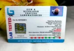 6 Mukhi Certificate