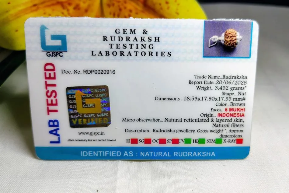 6 Mukhi Certificate