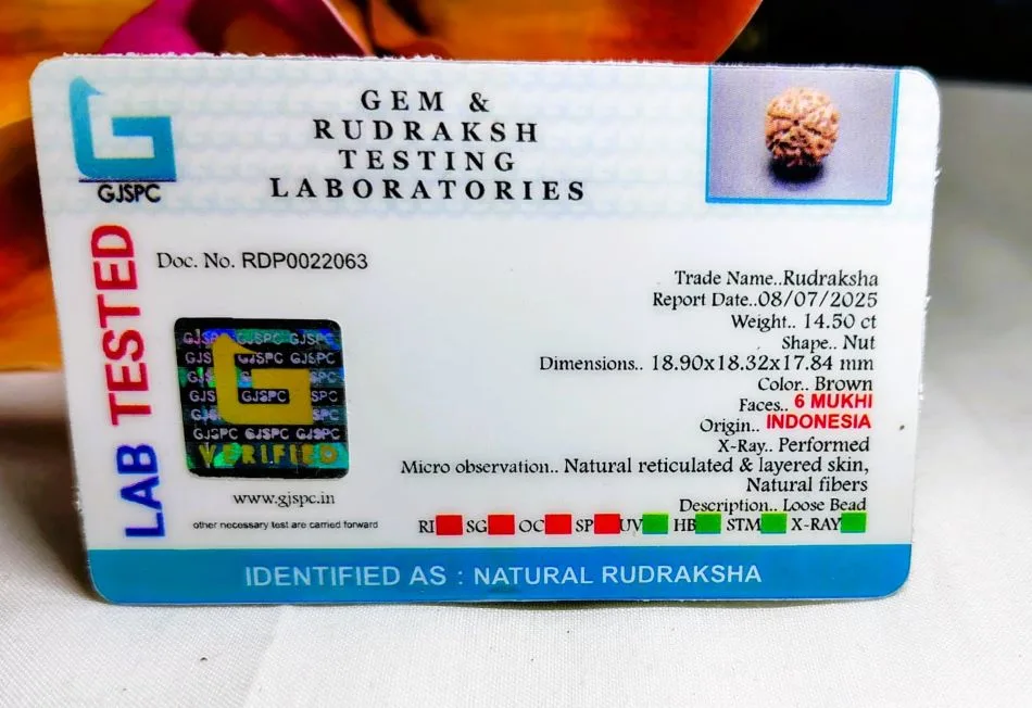 6 Mukhi Certificate