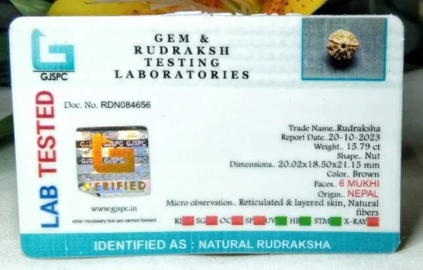 6 Mukhi Certificate