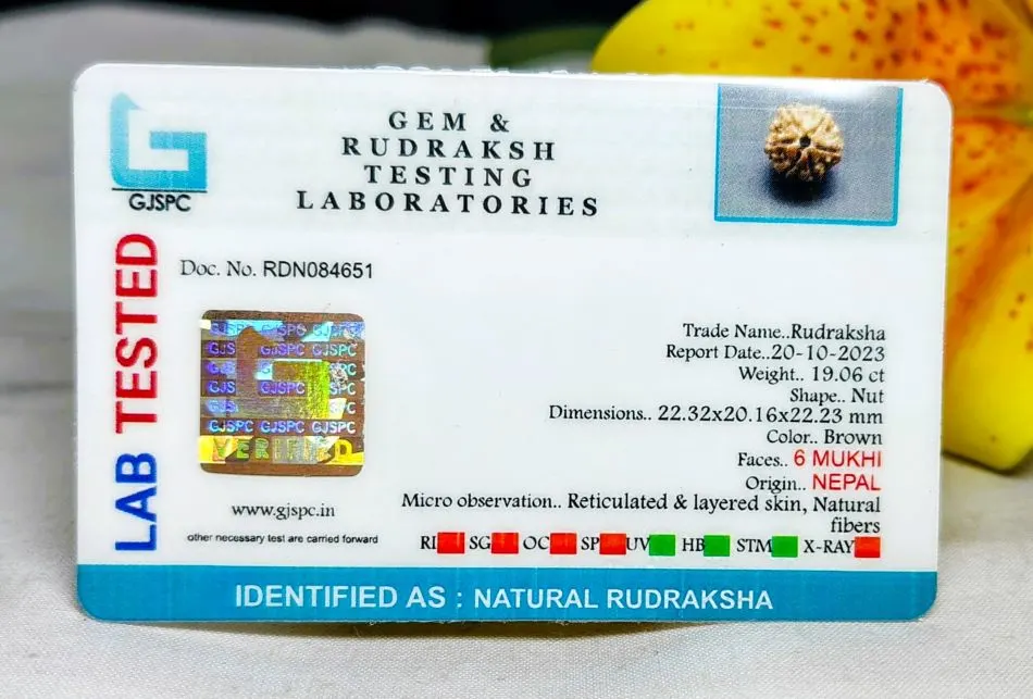 6 Mukhi Certificate