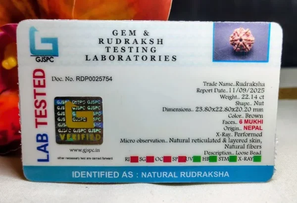 6 Mukhi Certificate