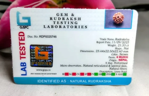 6 Mukhi Certificate