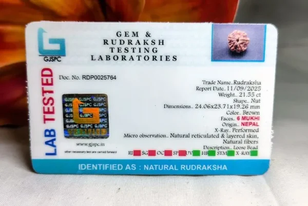 6 Mukhi Certificate