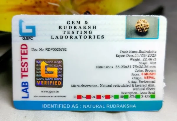 6 Mukhi Certificate