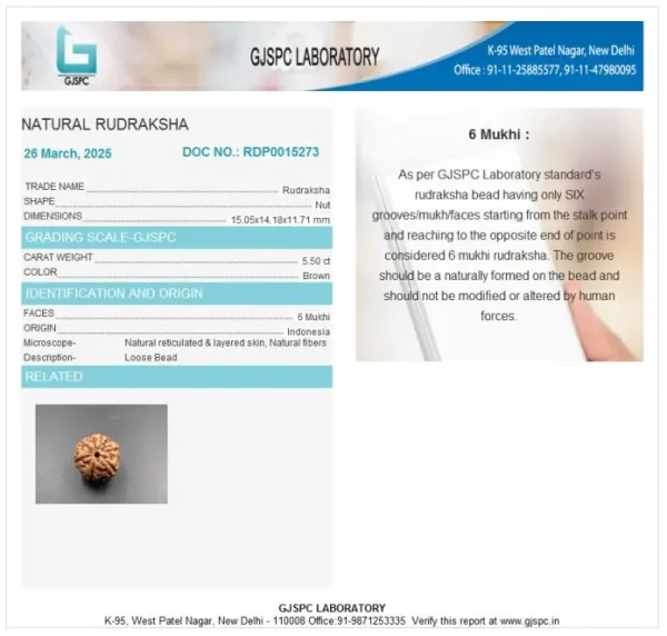 6 Mukhi Certificate