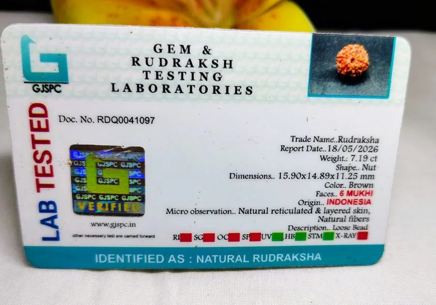 6 Mukhi Certificate