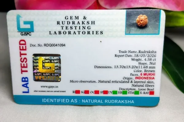 6 Mukhi Certificate
