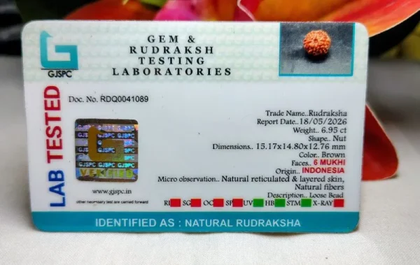 6 Mukhi Certificate