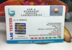 6 Mukhi Certificate