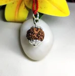 6 Mukhi Rudraksha