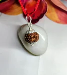 6 Mukhi Rudraksha