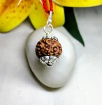 6 Mukhi Rudraksha