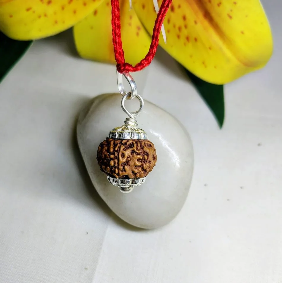 6 Mukhi Rudraksha