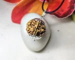 6 Mukhi Rudraksha
