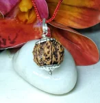 6 Mukhi Rudraksha