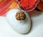 6 Mukhi Rudraksha
