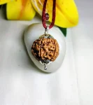 6 Mukhi Rudraksha